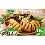 fu.... налог [ Кагосима префектура небо замок блок ][2025 год отправка ] добродетель . остров .. banana 1.5kg остров banana banana AL-6-N Кагосима префектура небо замок блок 