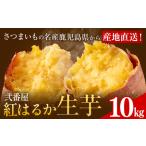 紅はるか 芋 10kg
