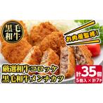 ふるさと納税 s136 お肉屋監修!厳選和牛コロッケ&黒毛和牛メンチカツ(計35個・約2.1kg) 鹿児島 和牛 牛肉 挽肉 ひき肉 コロッケ メンチカ.. 鹿児島県さつま町
