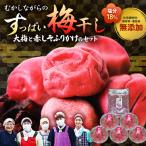 梅干し 大梅 と赤しそふりかけのセット 無添加梅干し