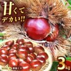 甘くて デカい 厚保くり 生栗 3kg
