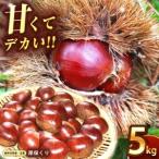 甘くて デカい 厚保くり 生栗 5kg