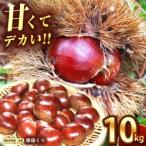 甘くて デカい 厚保くり 生栗 10kg