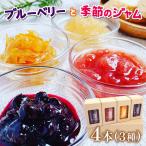 美祢ブルーベリーとの季節のジャム4本セット