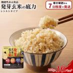 発芽玄米 ごはん レトルト パウチ 10パック