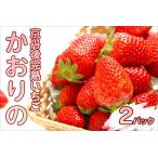 ふるさと納税 完熟いちご/果物【先行予約/数量限定】京都丹後産 完熟いちご(かおりの) 2パック(2026年3月中旬〜発送)いちごパック・いち.. 京都府京丹後市