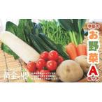 黄金の郷 季節のお野菜お楽しみAセット 野菜 セット