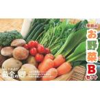 黄金の郷 季節のお野菜お楽しみAセット
