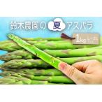 鈴木 ファームの夏アスパラ L~2Lサイズ 約1kg