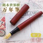 万年筆 銘木世界樹万年筆 白檀 中字