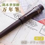 万年筆 銘木 世界樹 黒檀 中字