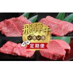 牛肉 サーロイン 飛騨牛いろいろ定期便 毎月お届け全6回