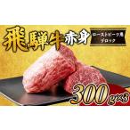 ふるさと納税 飛騨牛赤身　ローストビーフ用ブロック  ｜国産 和牛 牛肉 岐阜県瑞穂市
