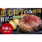 ショッピングふるさと納税 ハンバーグ ふるさと納税 D199 黒毛和牛100％ハンバーグ6個入 山口県山口市