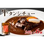 ふるさと納税 焼肉屋さんの牛タンシチュー（240g×6パック） 大阪府泉佐野市