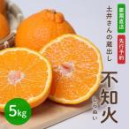 不知火 土井さんの蔵出し不知火 5kg
