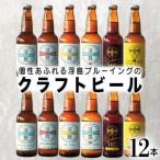 個性あふれる浮島ブルーイングのクラフトビール12本セット