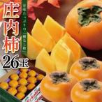 SB0903 酒田の果物専門店厳選 庄内柿