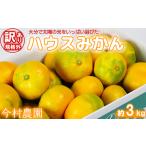 ふるさと納税 【訳あり・規格外品】今村農園のハウスみかん 約3kg 果物 期間限定 九州 <107-001_7> 大分県杵築市