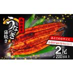 ふるさと納税 【 うなぎ蒲焼 】 国産うなぎ蒲焼 2尾 高知県須崎市