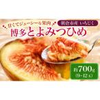 いちじく フルーツ とよみつひめ 約800g