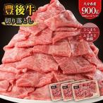 豊後牛 牛肉の切り落とし 900g