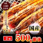 AU-065 九州産 鰻の蒲焼2尾 計500g前後