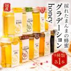 ふるさと納税 【国産蜂蜜】グラデーションhoney（9種類 各1本）｜蜂蜜 岐阜県大垣市