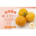 ふるさと納税 まるごと桃2種セット（白桃2つ、黄桃1つ） F20C-335 福島県伊達市