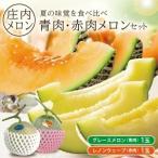 ふるさと納税 SA2123　庄内メロン　グレース、レノンウェーブ　約3kg　計2玉(青肉・赤肉各1玉) 山形県酒田市