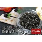 HEIKE CAVIAR 20g×6個