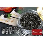 HEIKE CAVIAR 20g×12箱