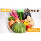 新鮮お野菜セット BTBQ002野菜