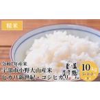 令和7年産 小野 大山産 精米10kg BTBW003精米