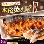 さば味噌漬け BTAK041サバ 鯖