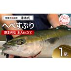 へべすぶり1尾 ~津本光弘本人仕立て~