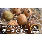 ふるさと納税 チーズまんじゅう「チーズたまご」(焼き菓子10個×2セット) スイーツ チーズ まんじゅう 宮崎県宮崎市