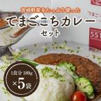 てまごこちカレー 180g×5袋