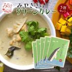 みやざきのグリーンカレー 150g×5個セット