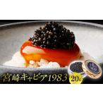 fu.... налог Miyazaki черная икра 1983 (20g) местного производства Miyazaki префектура производство черная икра 20gchou The me долгое время .. деликатес подарок несессер ввод Miyazaki префектура Miyazaki город 