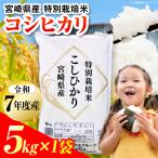 特別栽培米 産コシヒカリ 5kg×1袋