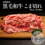 牛肉 こま切れ
