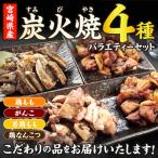 宮崎名物 炭火焼4種バラエティーセット 9パック