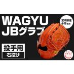 産牛革使用 WAGYU JB 硬式用 グラブ