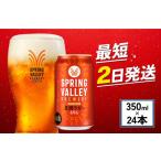 ふるさと納税 【キリン】スプリングバレー豊潤 496［350ml ×24本］【KIRIN ビール 麒麟 スプリングバレー ビール 缶ビール】 滋賀県彦根市