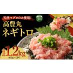 ふるさと納税 【3回お届け定期便】高豊丸 ネギトロ 定期便 tk017 高知県室戸市