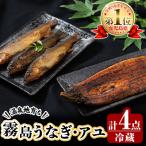 B0-160 霧島うなぎ蒲焼きと霧島アユ子持ち甘露煮詰め合わせ