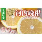 ふるさと納税 【数量�