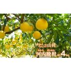 ふるさと納税 【数量�