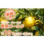 河内晩柑 10kg